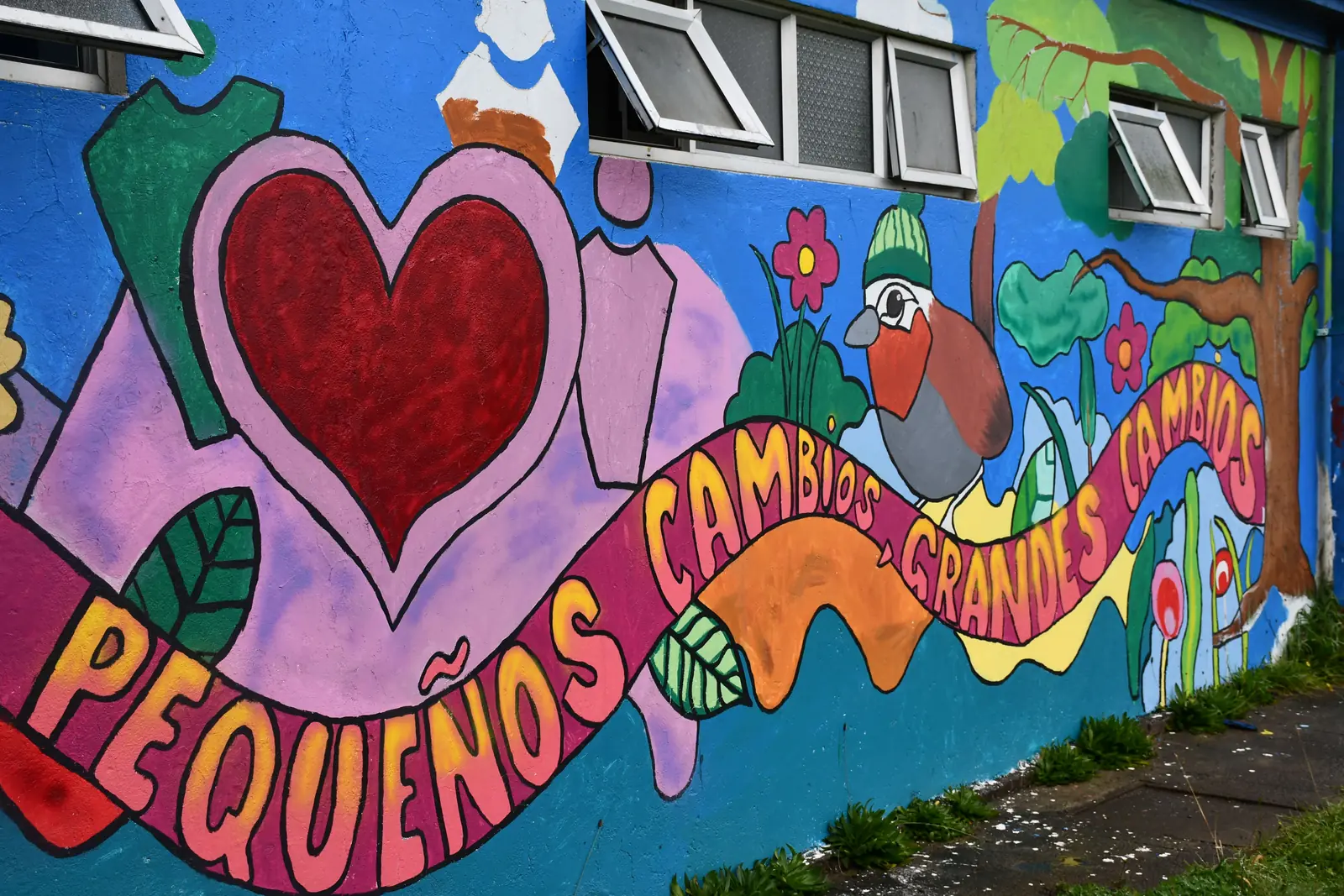 Mural en un muro exterior: un corazón rojo rodeado de flores, hojas y un chucao, con la leyenda «Pequeños cambios, grandes cambios».